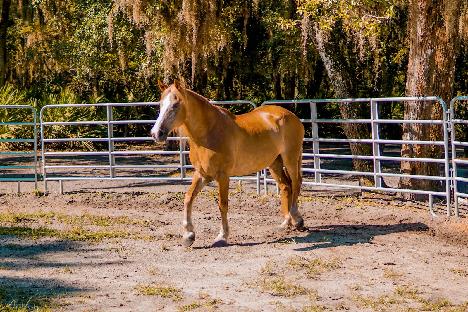 Whispering Meadows photo 9