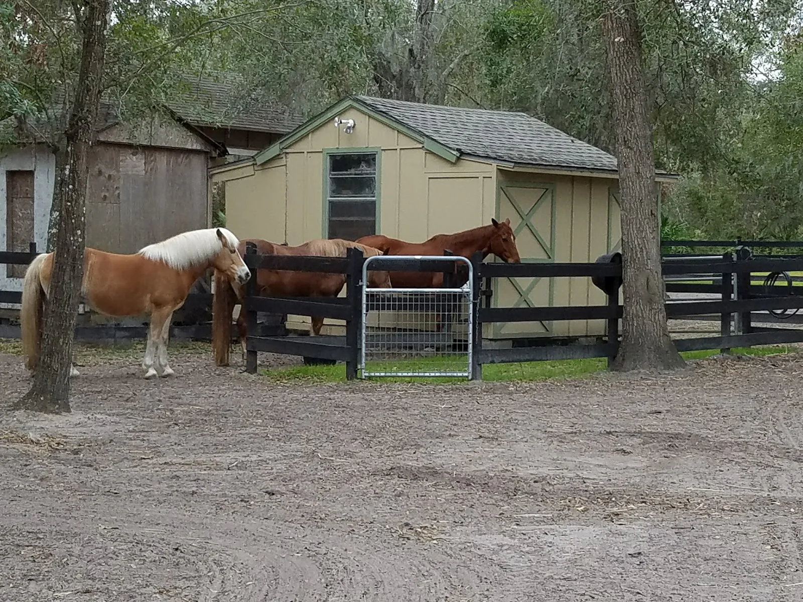 Whispering Meadows photo 5