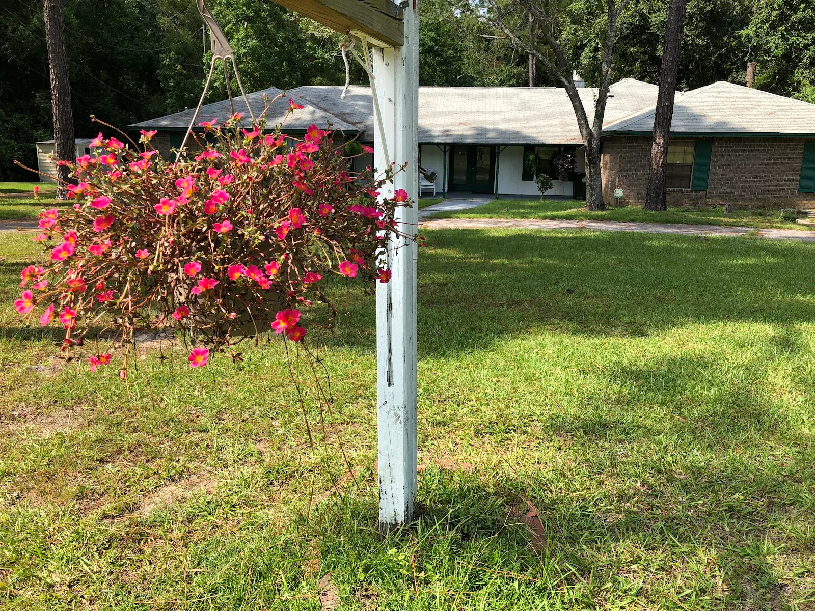 WHISPERING PINE II photo 8