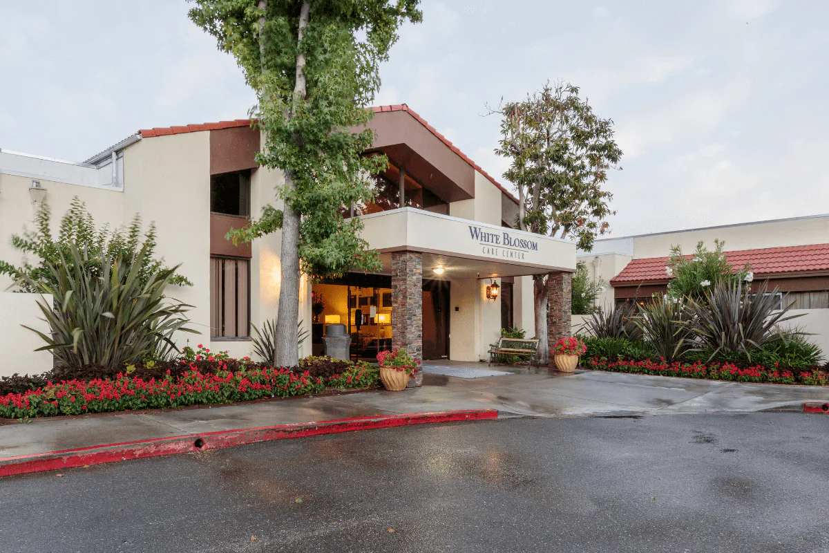 White Blossom Care Center