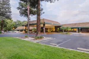Willow Grove photo 2