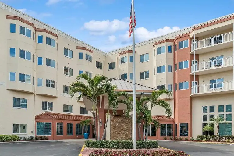 American House Palms photo 2
