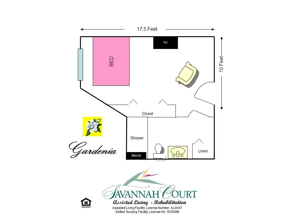 Ansley Court of Maitland photo 2