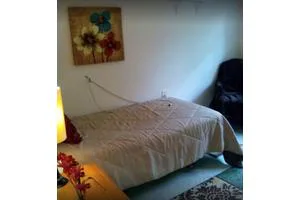 Bayou Gardens Palm Harbor photo 9