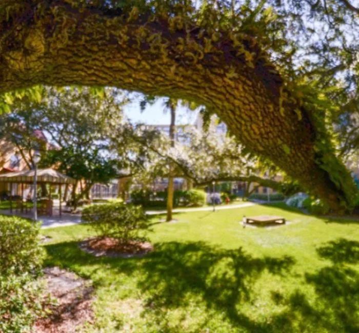 Blue Palms Senior Living At Fletcher photo 4
