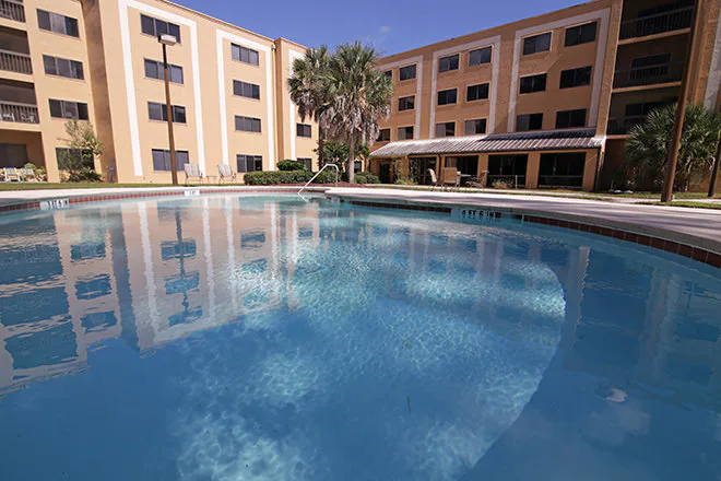 Brookdale Mandarin photo 5