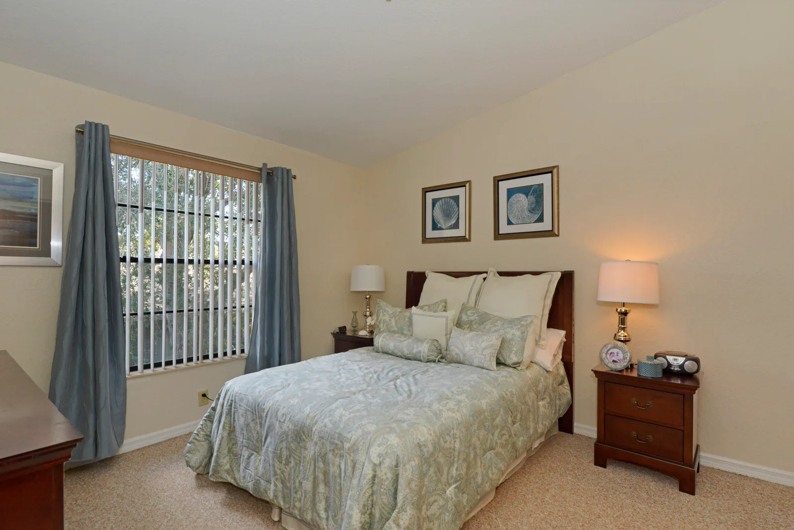 Brookdale New Port Richey photo 14