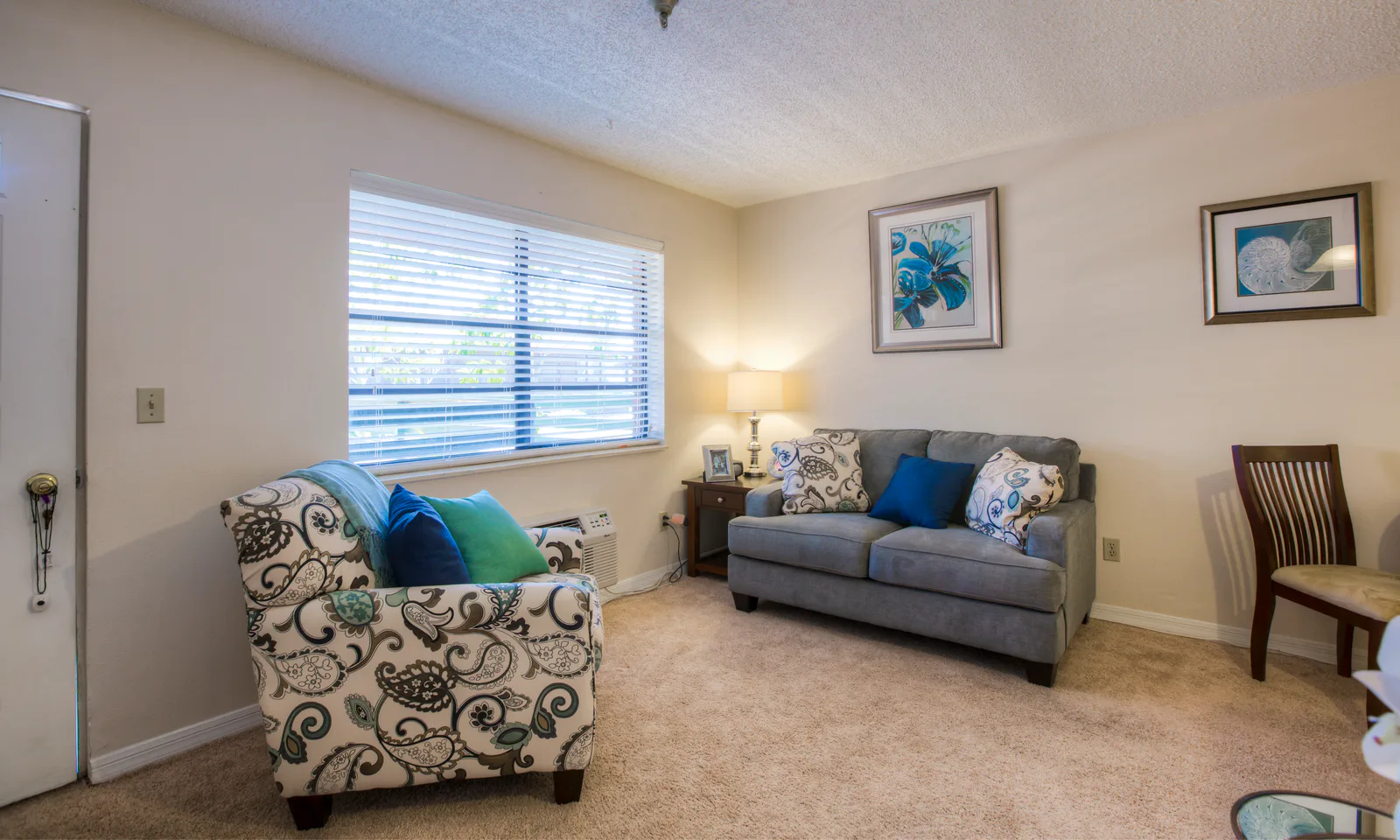 Brookdale New Port Richey photo 18