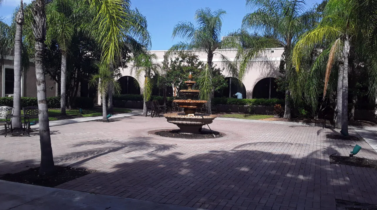 Cherry Oak Palm Beach County photo 2