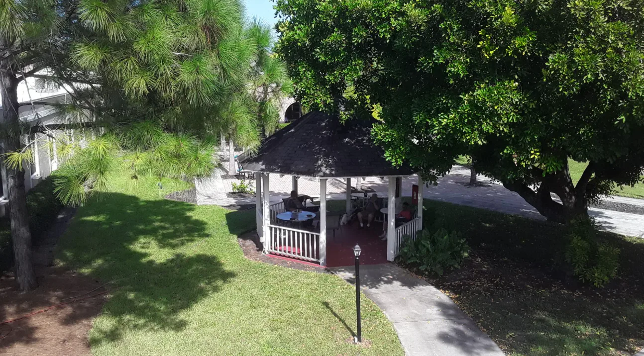 Cherry Oak Palm Beach County photo 8