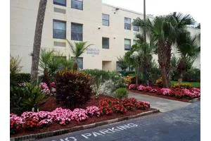 Magnolia Gardens Alf photo 5
