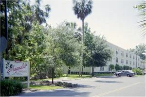 Magnolia Gardens Alf photo 6