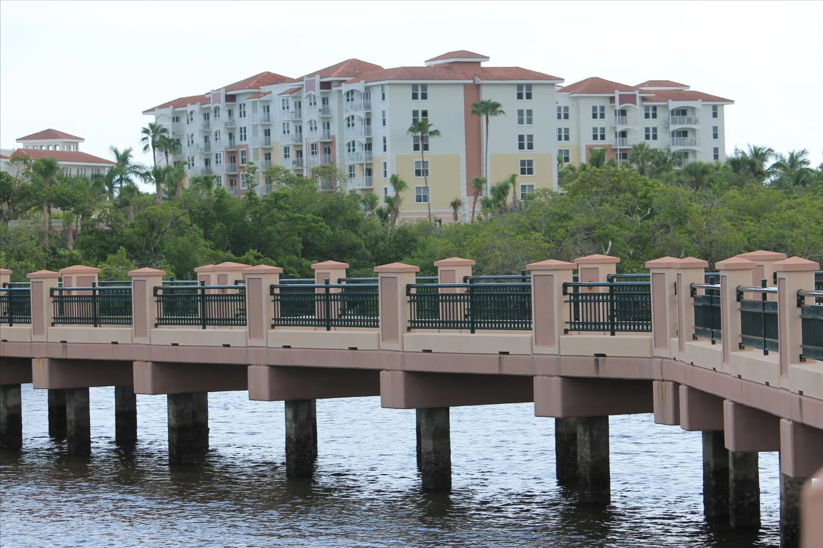 Mangrove Bay photo 2