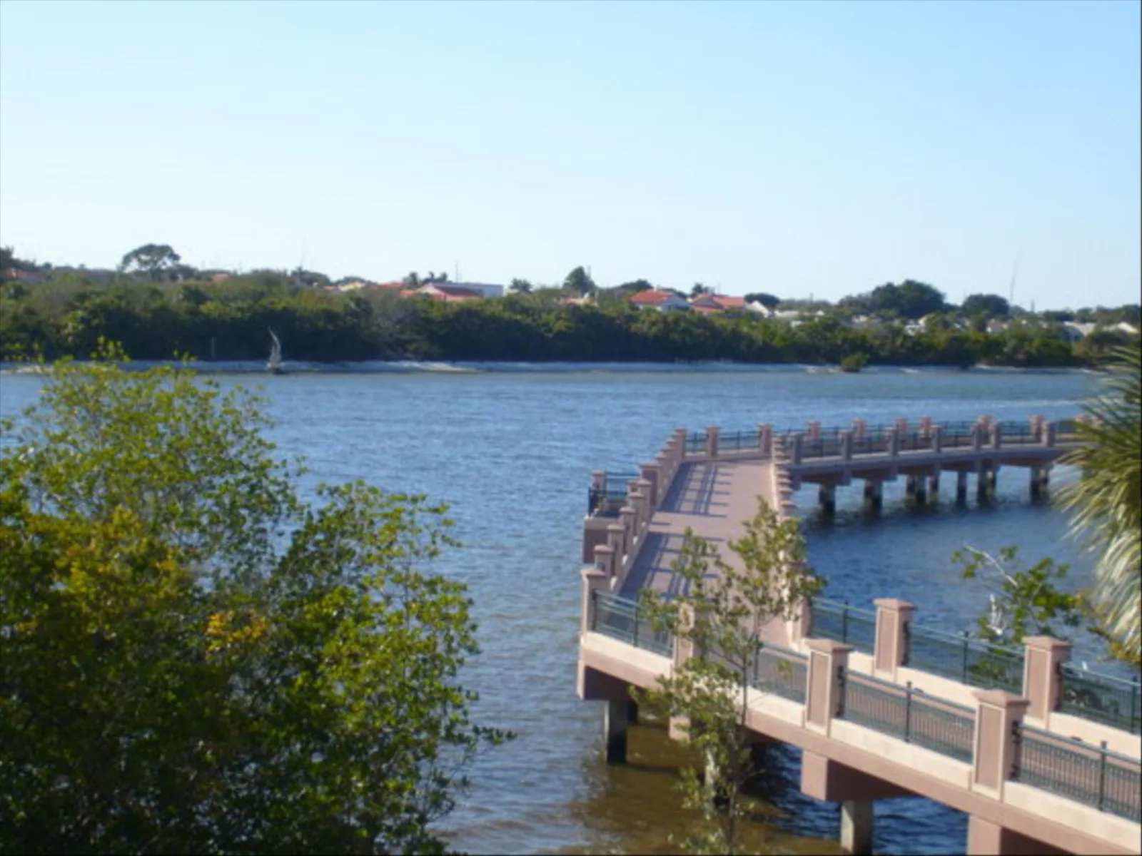 Mangrove Bay photo 7