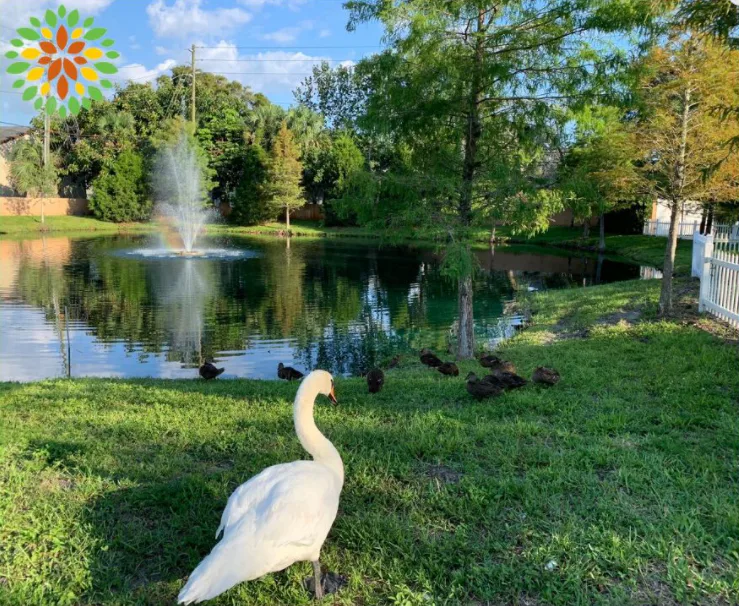 Seasons Belleair photo 12