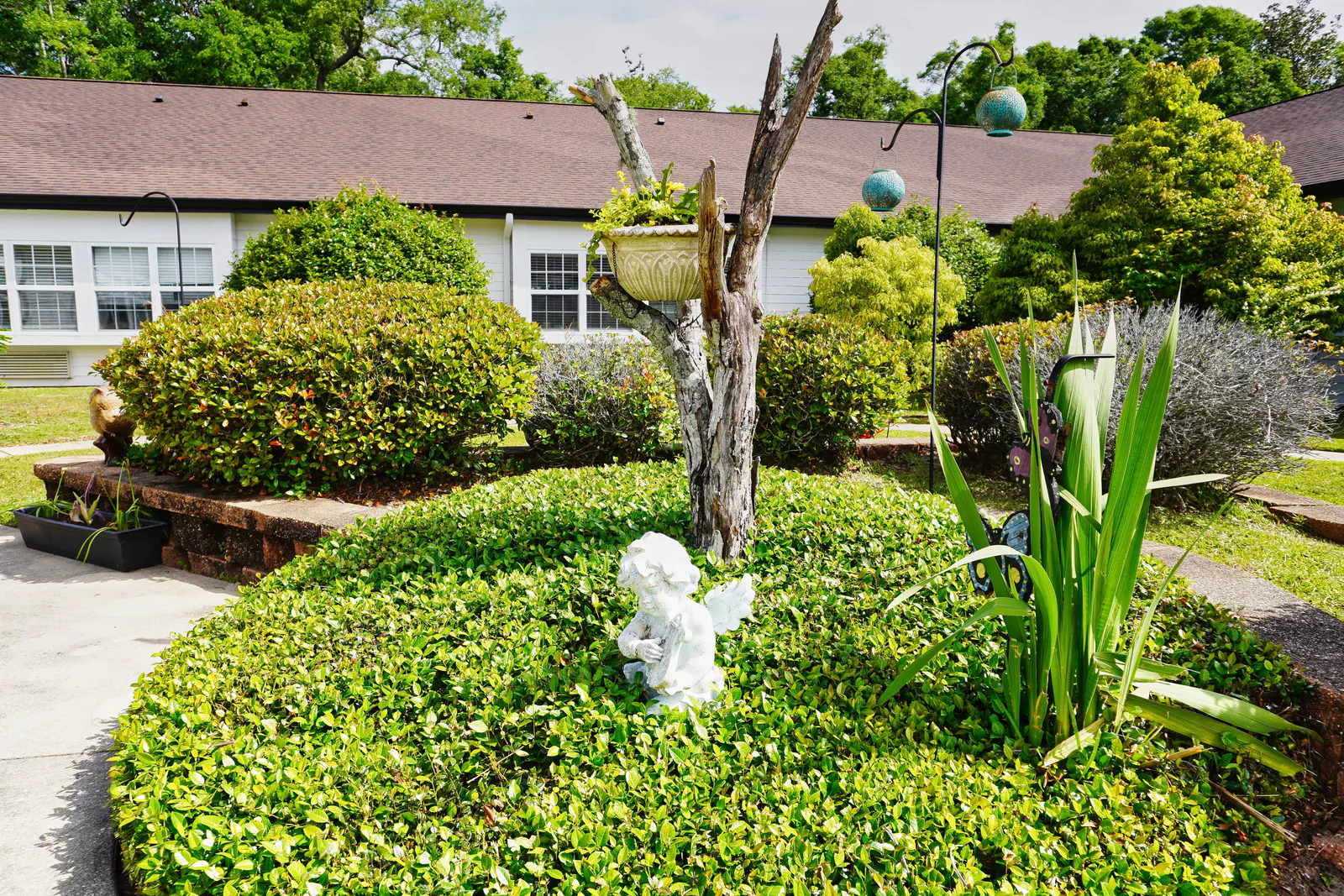 Sodalis Pensacola photo 10