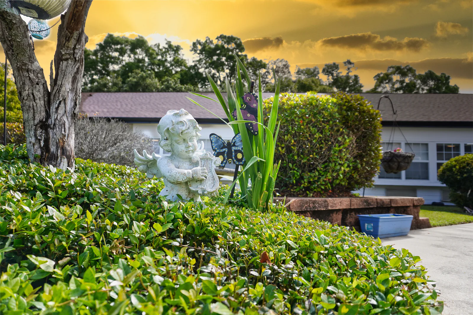 Sodalis Pensacola photo 11