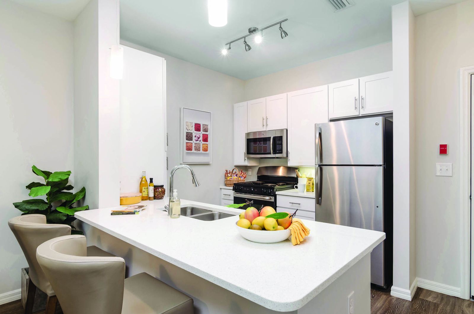 American House Bonita Springs photo 17
