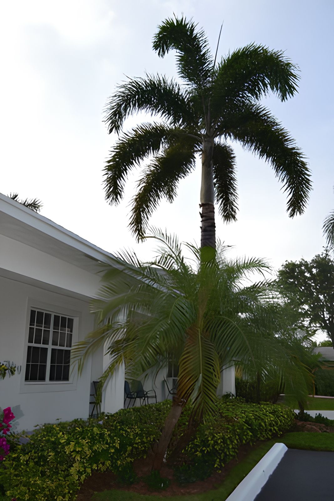 Banyan Place Lantana photo 13