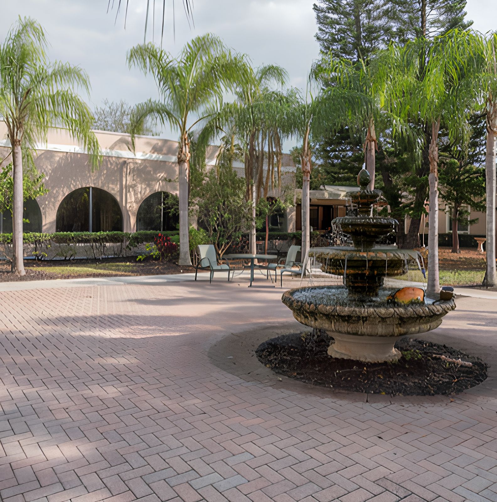 Cherry Oak Palm Beach County photo 10