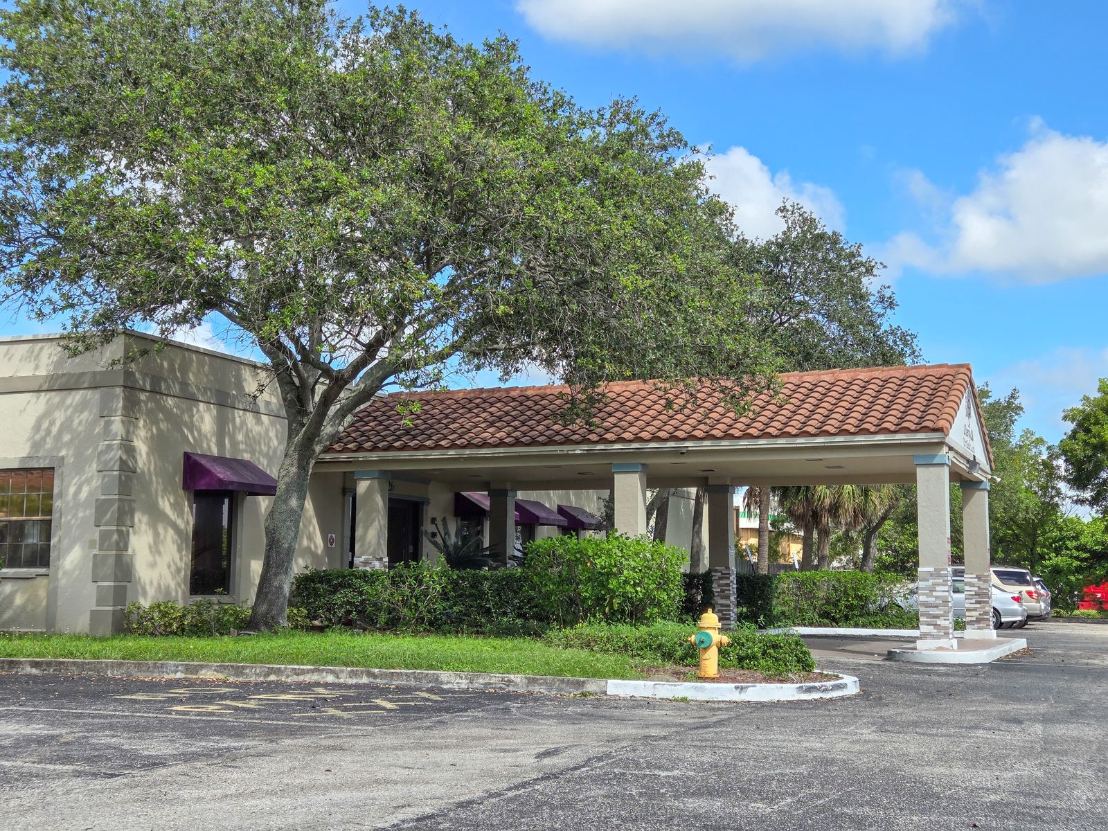 Cherry Oak Palm Beach County photo 12