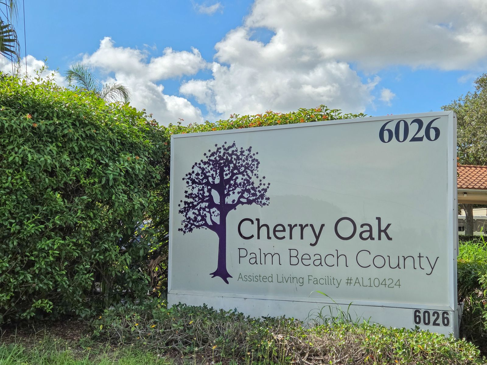 Cherry Oak Palm Beach County photo 15