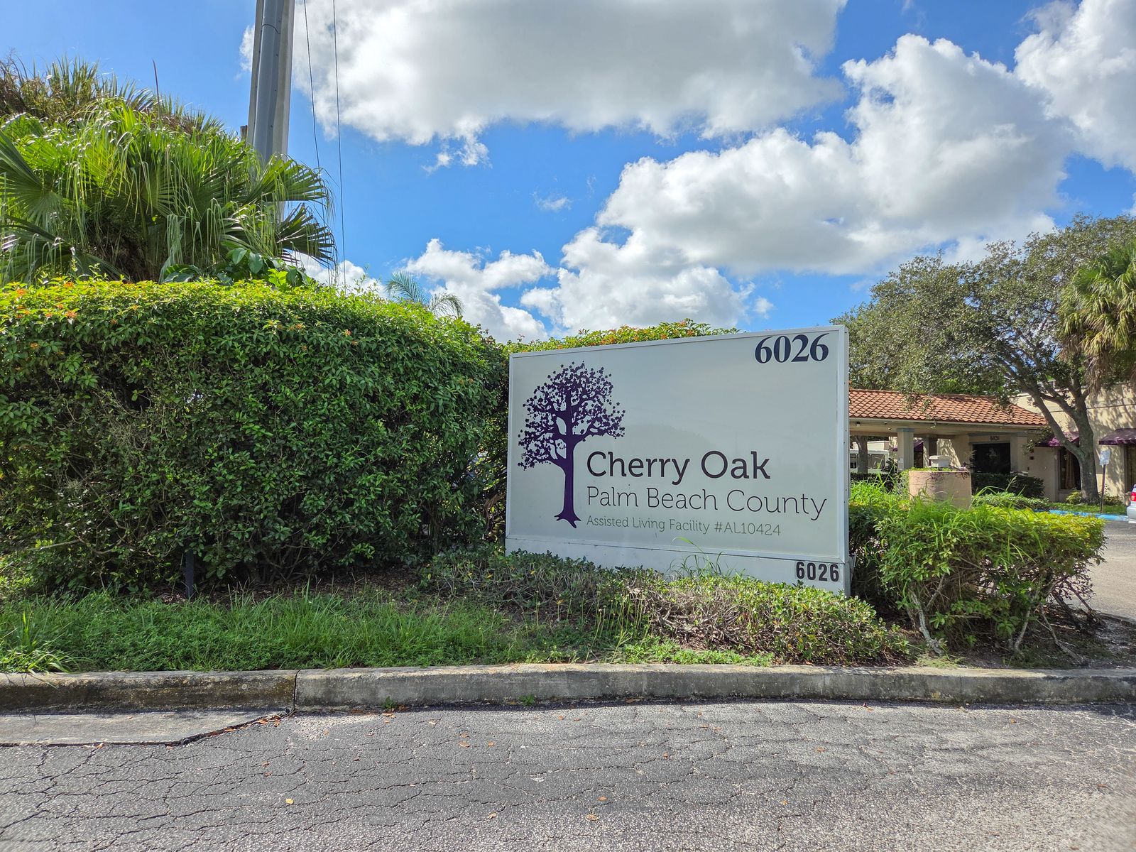 Cherry Oak Palm Beach County photo 17