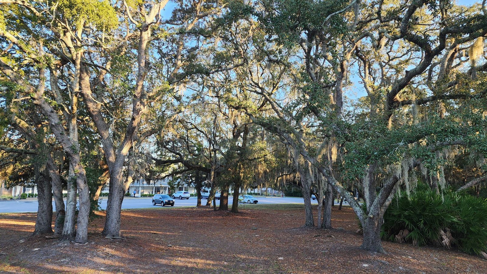 The Gardens of Eastbrooke photo 12