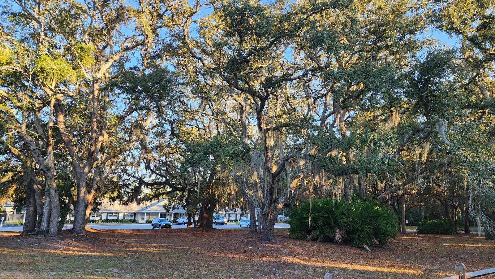 The Gardens of Eastbrooke photo 16