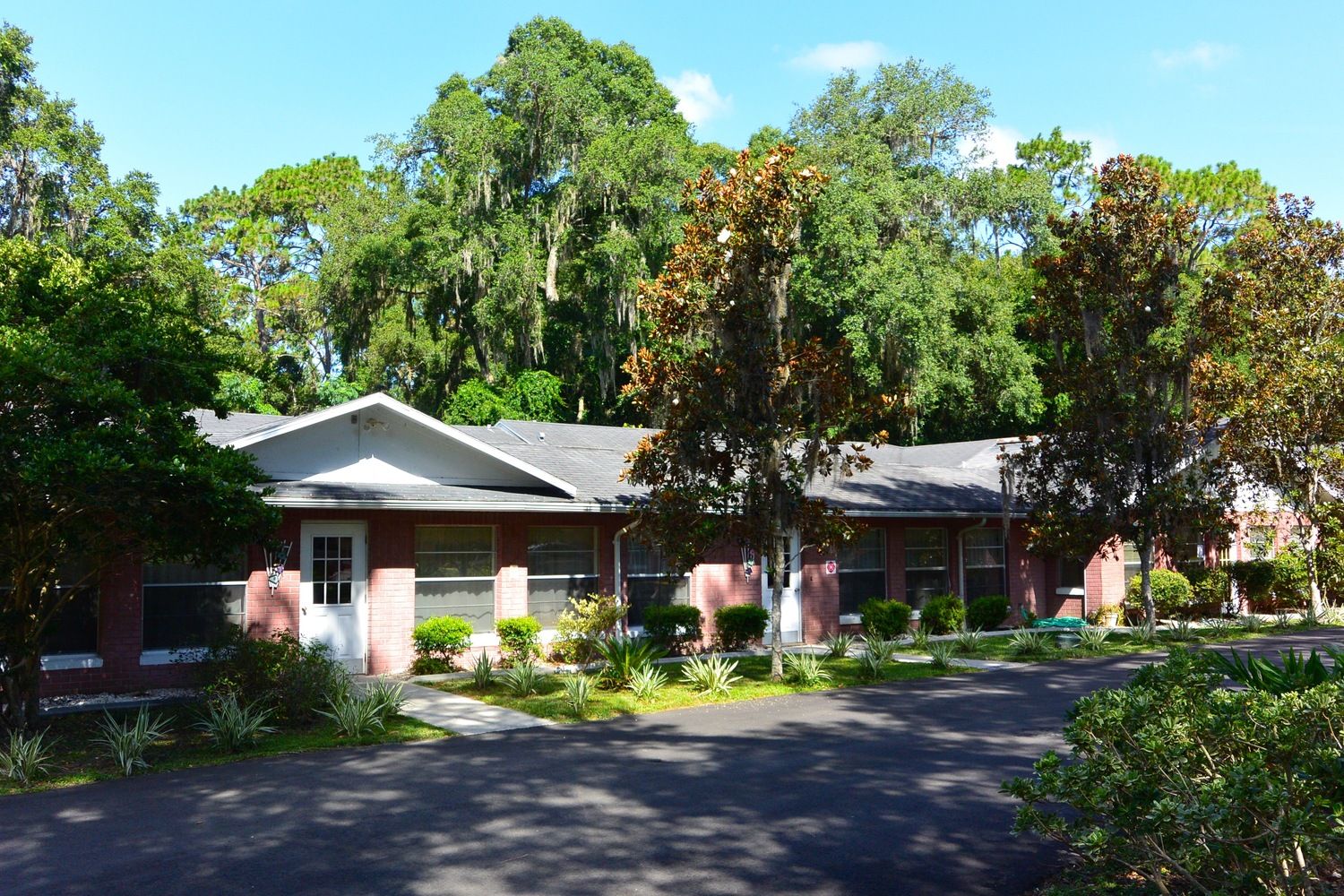 New Horizon Senior Citizen Home photo 3